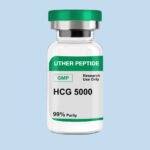 HCG 5000 GMP (10 Vials / Kit)